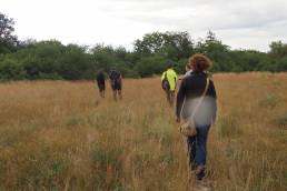 Naturschutz Exkursion 2018 im Norbert-Scheed-Wald