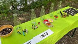 Bohnenumfrage: Tisch mit Schüssel mit Bohnen, 5 Glasflaschen um Bohnen einzuwerfen, Playmobil-Figuren (Rad, Kinderwagen, Hund, Wildtiere), Becherlupe mit Spinne und Müll