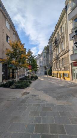 Altgasse Neugestaltung 2026: Parkspur ist weg, dafür stehen auf einer Seite Bäume mit großen Beeten